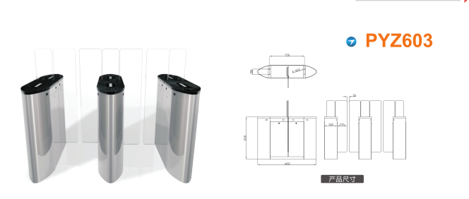 资阳高新区平移闸PYZ603